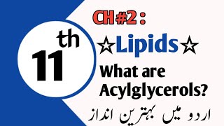 What are acylglycerols Tryacylglycerols [upl. by Chambers]