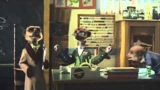 New Compare the Meerkat Advert  Compare The Market Com Funny Advert  Simples [upl. by Ettenyar]