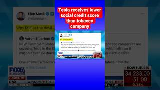 Elon Musk calls ESG ‘the devil’ as SampP Global gives Tesla low social credit score shorts [upl. by Arodnahs]