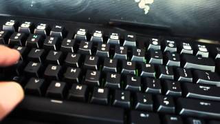 Razer BlackWidow Ultimate 2016 Versus DeathStalker Chroma [upl. by Aehsila]