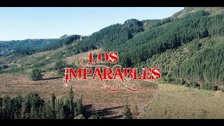 Te esperaba  Los Imparables de San Javier  VIDEO OFICIAL [upl. by Gaudet]