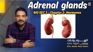 بيولوجي لغات تالته ثانوي chapter 2 HORMONES quotADRENAL GLANDS  ADRENALINE  CORTISONE  ALDOSTERONEquot [upl. by Coleville231]