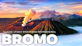 GUNUNG BROMO TERBARU 2024  LIBURAN TAHUN BARU DI BROMO PERTAMA KALI  WAJIB NONTON BIAR GAK KECEWA [upl. by Notpmah]