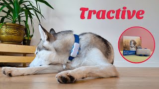 Tractive GPS Tracker for Dogs [upl. by Anitsyrc]