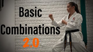 Karate workout basic combinations [upl. by Laughry277]