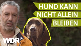 Dem Hund Ruhe und Gelassenheit vermitteln  Hunde verstehen S02E01  Tierratgeber  WDR [upl. by Nnylsia]