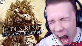 Elden Ring Pro vs Shadow of the Erdtree He Cries [upl. by Arne]