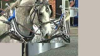 Havre de Grace July Parade [upl. by Alberic]