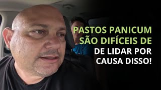 PASTOS DE PANICUM SÃƒO DIFICÃ‰IS DE LIDAR POR CAUSA DISSO  PROF MARCELO COSTA [upl. by Etnoel]