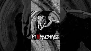 Official A01 Chase Theme pillarchase roblox [upl. by Anyaled]