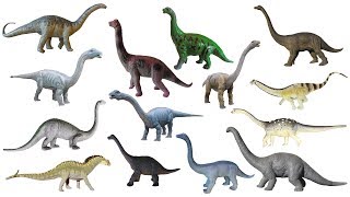 Sauropod Dinosaurs  Brontosaurus Apatosaurus Diplodocus  The Kids Picture Show Learning Video [upl. by Denise]