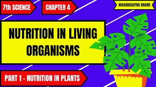 7th Science  Chapter 4  Nutrition in Living Organisms  Part 1 Maharashtra Board [upl. by Nowell]