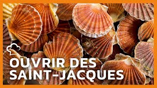 Ouvrir et préparer une SaintJacques [upl. by Cesaro]