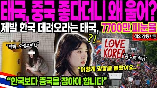 해외감동사연 quot태국 중국 좋다더니 왜 울어quot 제발 한국 다시 데려오라는 태국 7700만 국민 피눈물 [upl. by Rooney]