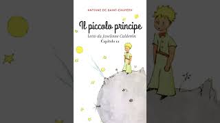 Il Piccolo Principe capitolo XII [upl. by Pfosi]