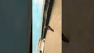 FREESTYLE DRONE di jembatan basit 250cc MT25 R25 ninjafi ninja250 Yamahakalsel non MOGE [upl. by Ellehsar]