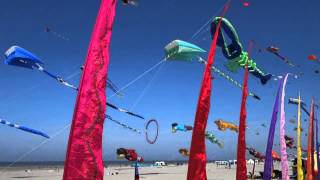 Cerfs volants 2014 Berck sur Mer [upl. by Mackenie]