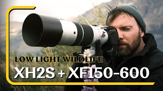 Wildlife Photography  Fujifilm XH2s and XF150600mm after using Nikon Z8 [upl. by Cheyne533]