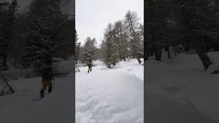 Scialpinismo in Lagorai skitouring lagorai [upl. by Einnhoj]