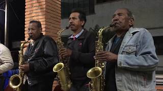 Los Jaibos de Valerio Trujano Oaxaca Aires del surDanzón [upl. by Postman]