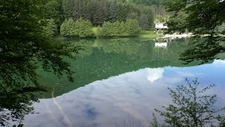 JEZERO BALKANA I RIJEKE PORIBLJENO MLAĐI POTOČNE PASTRMKEM [upl. by Mukerji]