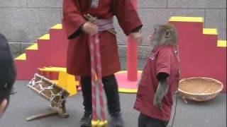 Monkey Jump in Tokyo Tower Japan [upl. by Karub443]