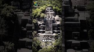 Calakmul El Misterio Oculto de la Selva Maya 🦍🐆 parati viral fypシ México prehispanico [upl. by Nealson454]