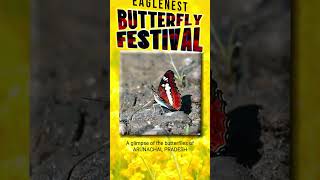 EaglenestButterflyFestival eaglenest arunachalpradesh butterflyfestival butterflyindia wildlife [upl. by Mendel]