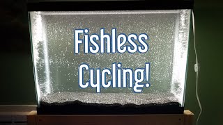 Fishless Cycling an Aquarium [upl. by Verlee]