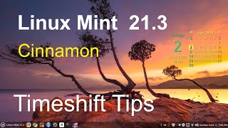 Linux Mint 213  Cinnamon  Timeshift Tips [upl. by Arlyn]