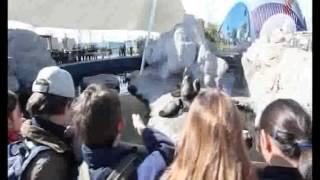 Video promocional Ciudad de las Artes y las Ciencias [upl. by Blackstock]