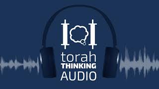 Weekly Hashkafa Shiur 13  Shabbat Nachamu  How We Are Consoled AUDIO [upl. by Goran]