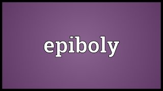 Epiboly Meaning [upl. by Anoiek]