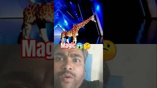 Americas Got Talent 😱🤔 Giraffe Magic got talent Duo Schumacher AGT americagoattalent magic [upl. by Savage]