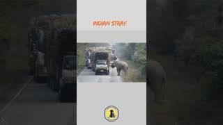 Gajodhar ASI on Duty aaj nhi chode ga kisi ko dubbingcomedy animalvideos funny laughoutloudpets [upl. by Canning]