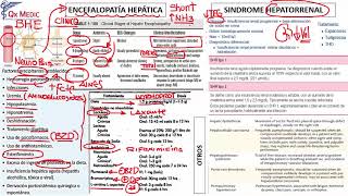 Gastroenterología  8 RM19 2V GASTRO ENCEFALOPATIA HEPATICA SINDROME HEPATORREAL [upl. by Notniuqal]