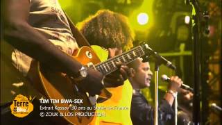 Tim Tim BwaSek  Kassav au Stade France [upl. by Devora]