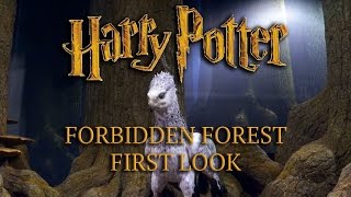 Warner Bros Studio Tour Harry Potter Forbidden Forest first look [upl. by Blaine615]