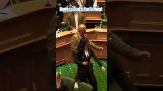 If you think Indian politics is crazy take a look at New Zealand newzealand parliament māori [upl. by Ilojna246]