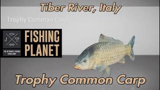 Fishing Planet Trophy Common Carp Tiber River Italy [upl. by Relyks541]