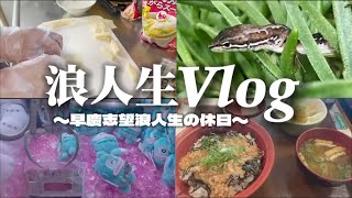 【浪人生vlog】早慶志望浪人生の休日 浪人生 高校生 勉強vlog [upl. by Eintruoc812]