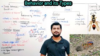 1723 Behaviour  innate or instinctive behaviour and learning behaviour  fsc 2nd year Biology [upl. by Nuarb]