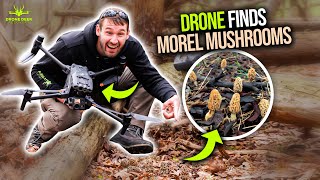 Morel Mushroom Hunting with Thermal Drone ￼ [upl. by Sebbie]