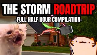 CAT MEMES THE STORM FULL COMPILATION [upl. by Zelde]