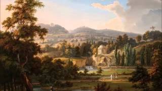 J Haydn  Hob I102  Symphony No 102 in B flat major Brüggen [upl. by Panaggio]