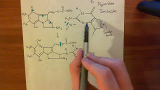 Mitomycin C Part 3 [upl. by Luby]