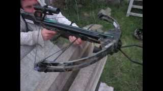 Barnett Quad 300 Crossbow shooting and sighting in [upl. by Eelarac]