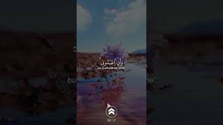 قران كريم  ما تيسر من يس و غافر  يوسف الصقير  صلاة العشاء 29 شعبان 1435 [upl. by Meece219]