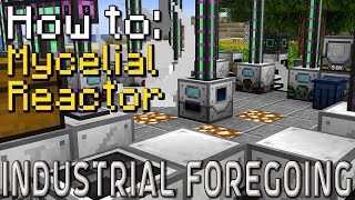 How to Industrial Foregoing  Mycelial Reactor Minecraft 1201 [upl. by Alaunnoif484]