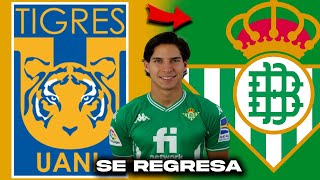 Puse a Diego Lainez de TITULAR en Betis [upl. by Mic]